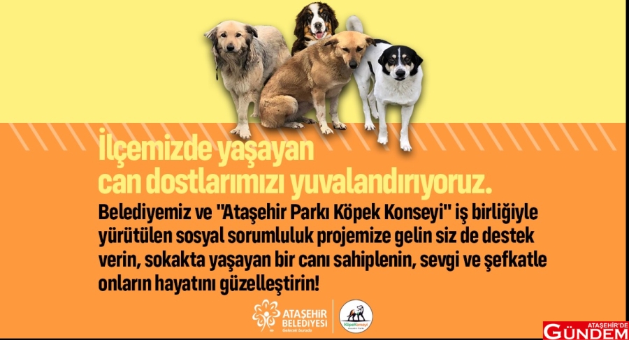 BELEDİYEDEN “SATIN ALMA SAHİPLEN” ÇAĞRISI SATIN ALMA SAHİPLEN ATAŞEHİRDE GÜNDEM